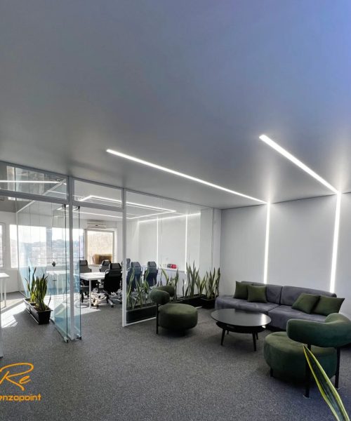 شرکت رنزوپوینت