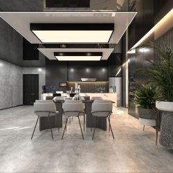 نمونه طرح سقف کشسان مشکی