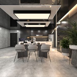 نمونه طرح سقف کشسان مشکی