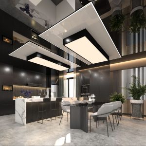 سقف آشپزخانه رنزوپوینت