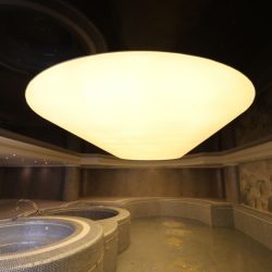 سقف کشسان استخر