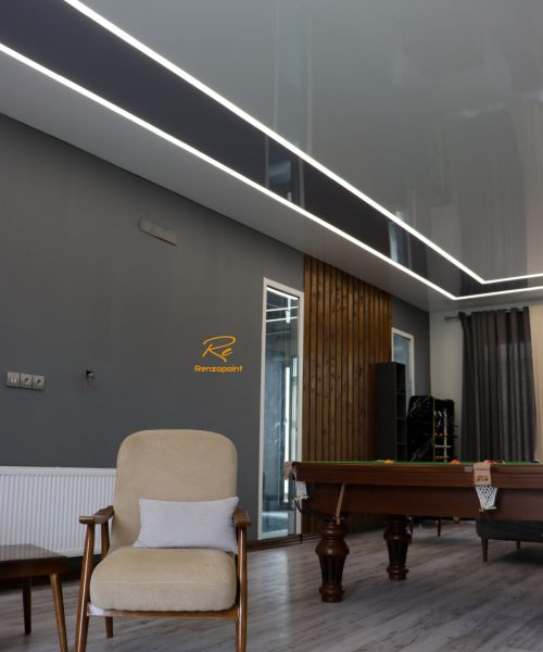 سقف کشسان طوسی