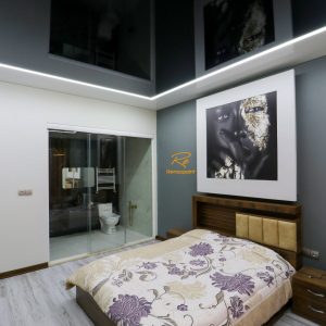 سقف و لاین نوری رنزوپوینت