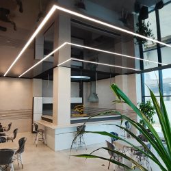 لاین نوری کشسان