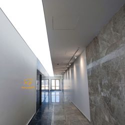 لاین نوری کشسان