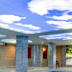 سقف استخر طرح دار