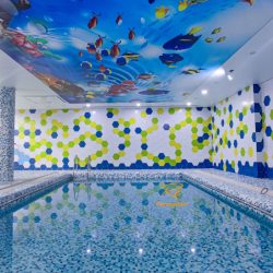 سقف چپی طرح دار