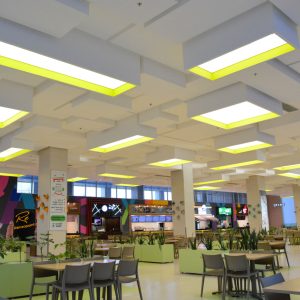 سقف خاص و زیبا