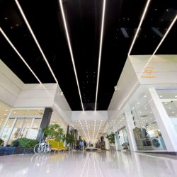 سثق مشکی و لاین نوری