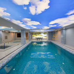 سقف طرح دار استخر