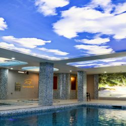 سقف کشسان منظره