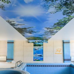 سقف چاپی منظره