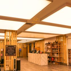 سقف ترسنپرنت