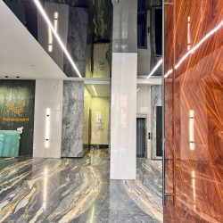 سقف مشکی آینه ای و نور خطی