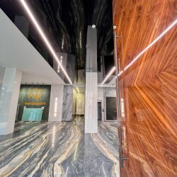 سقف کشسان مشکی براق و لاین نوری