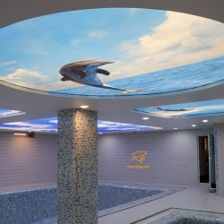 سقف طرح دار استخر