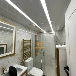 stretch ceiling