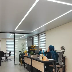 سقف کشسان ماموت