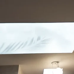 سقف چاپی ترنس